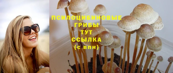 мескалин Гусев