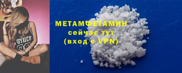 прущие грибы Гусиноозёрск