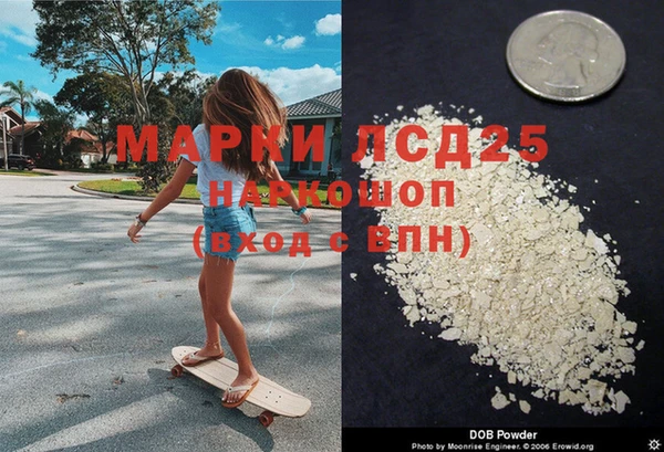 прущие грибы Гусиноозёрск