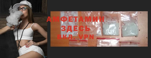 прущие грибы Гусиноозёрск
