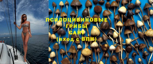 мескалин Гусев