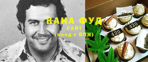 прущие грибы Гусиноозёрск