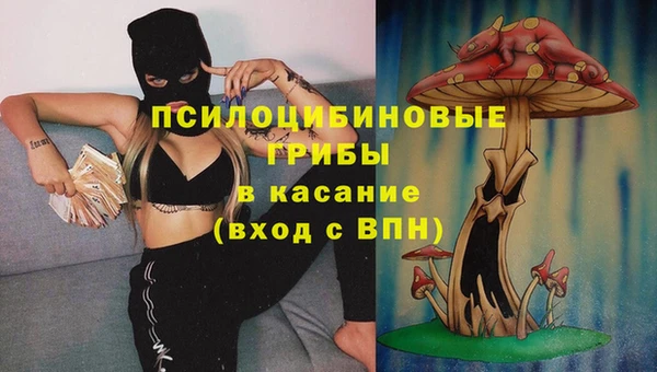 мескалин Гусев