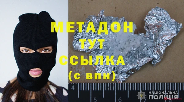 прущие грибы Гусиноозёрск