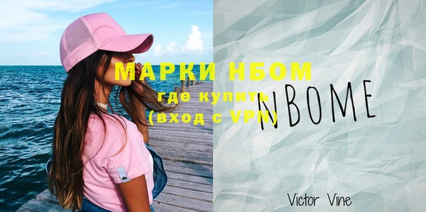 прущие грибы Гусиноозёрск