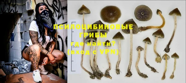 тгк Магадан