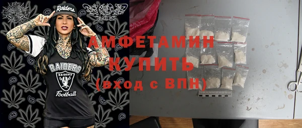 прущие грибы Гусиноозёрск