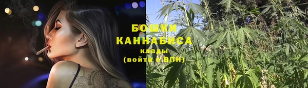 прущие грибы Гусиноозёрск